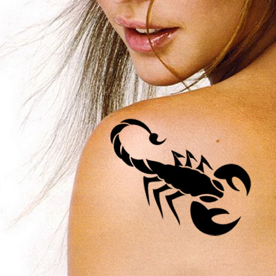 TR-2001 Scorpion Stencil Tattoo Self adhesive Stencils Face Painting Design Decoration