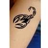 TR-2019 Scorpion Stencil Tattoo Self adhesive Stencils Face Painting Design Decoration
